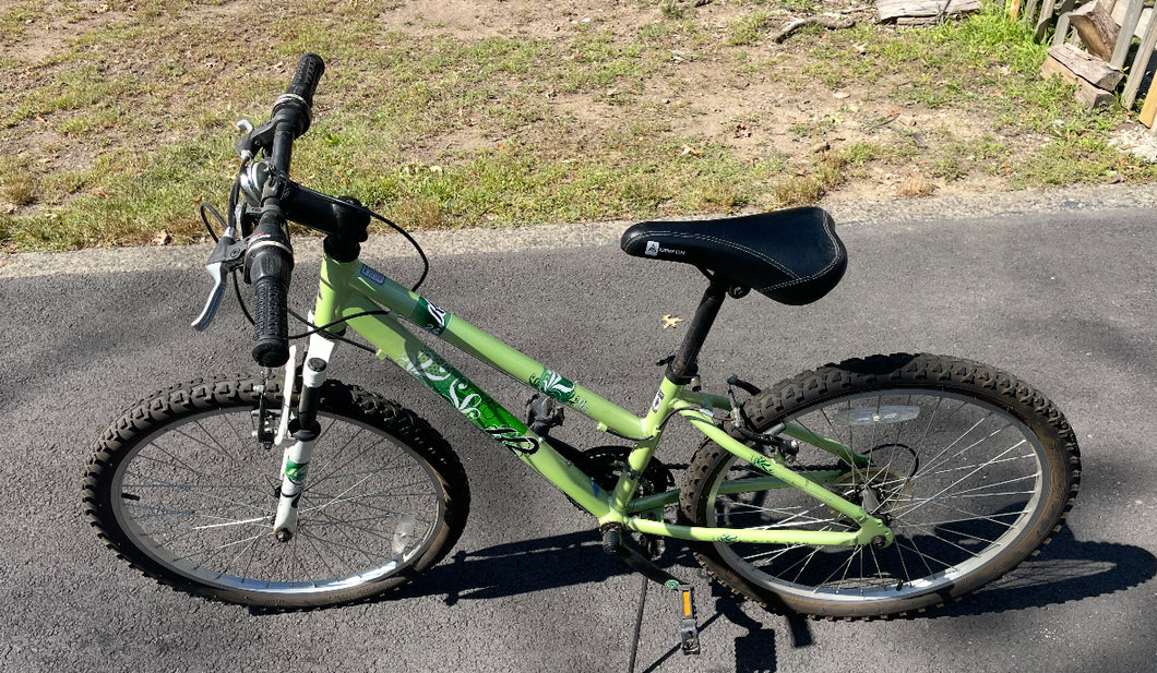 Boys bike