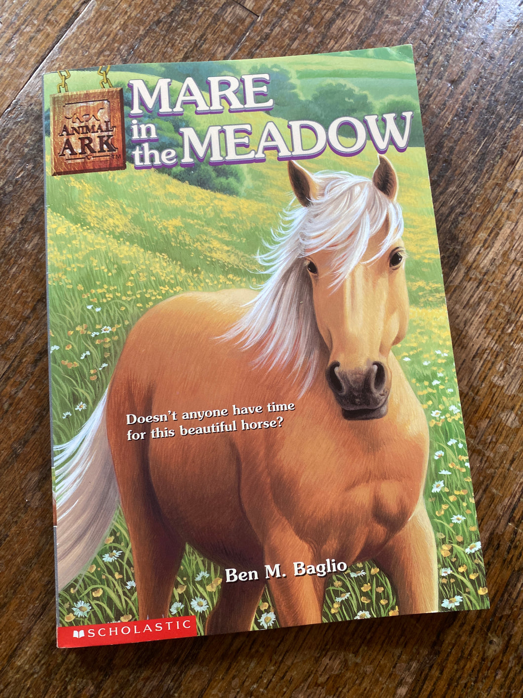 Mare in the Meadow Ben Baglio