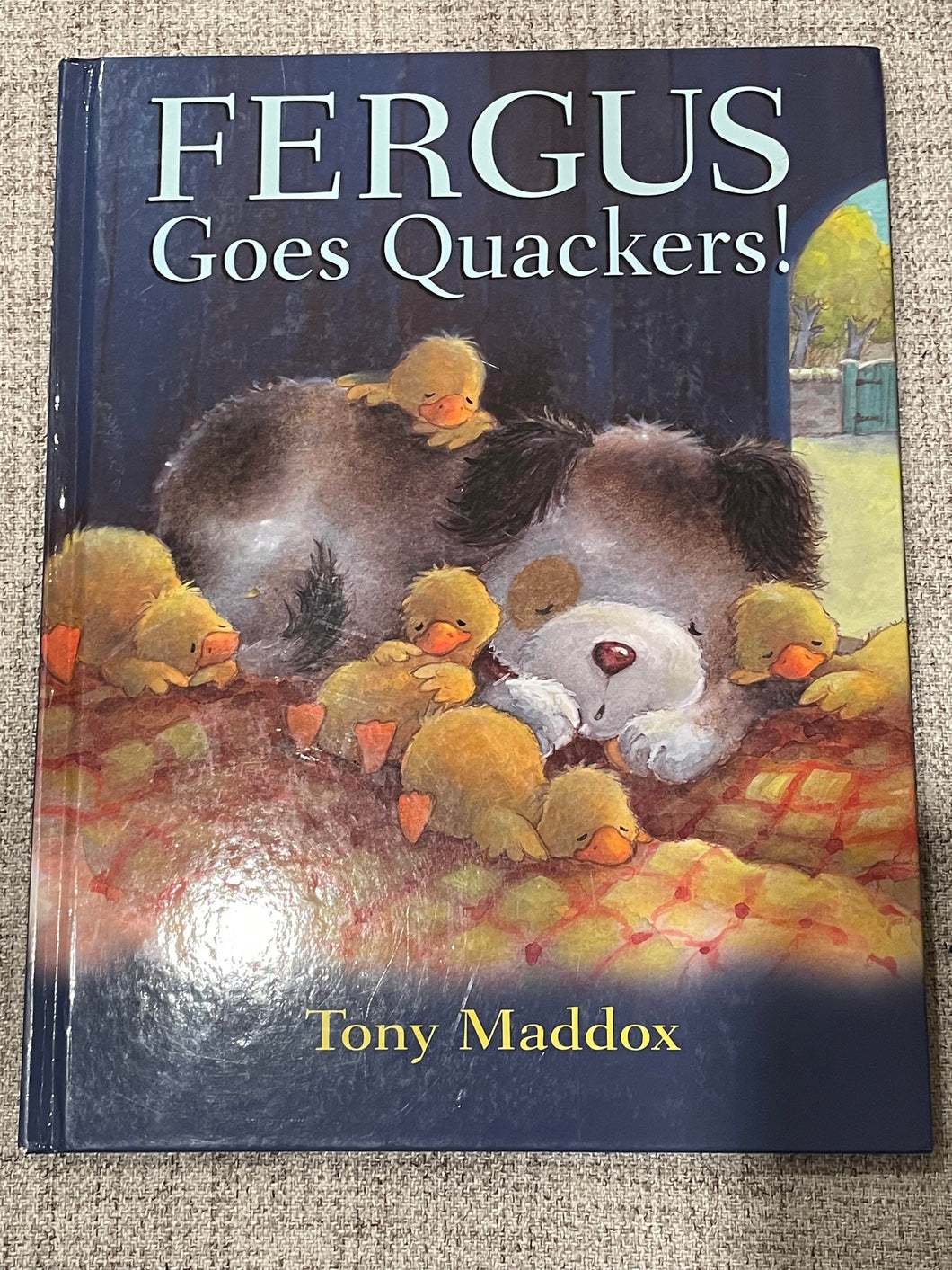 Fergus Goes Quakers Hardcover