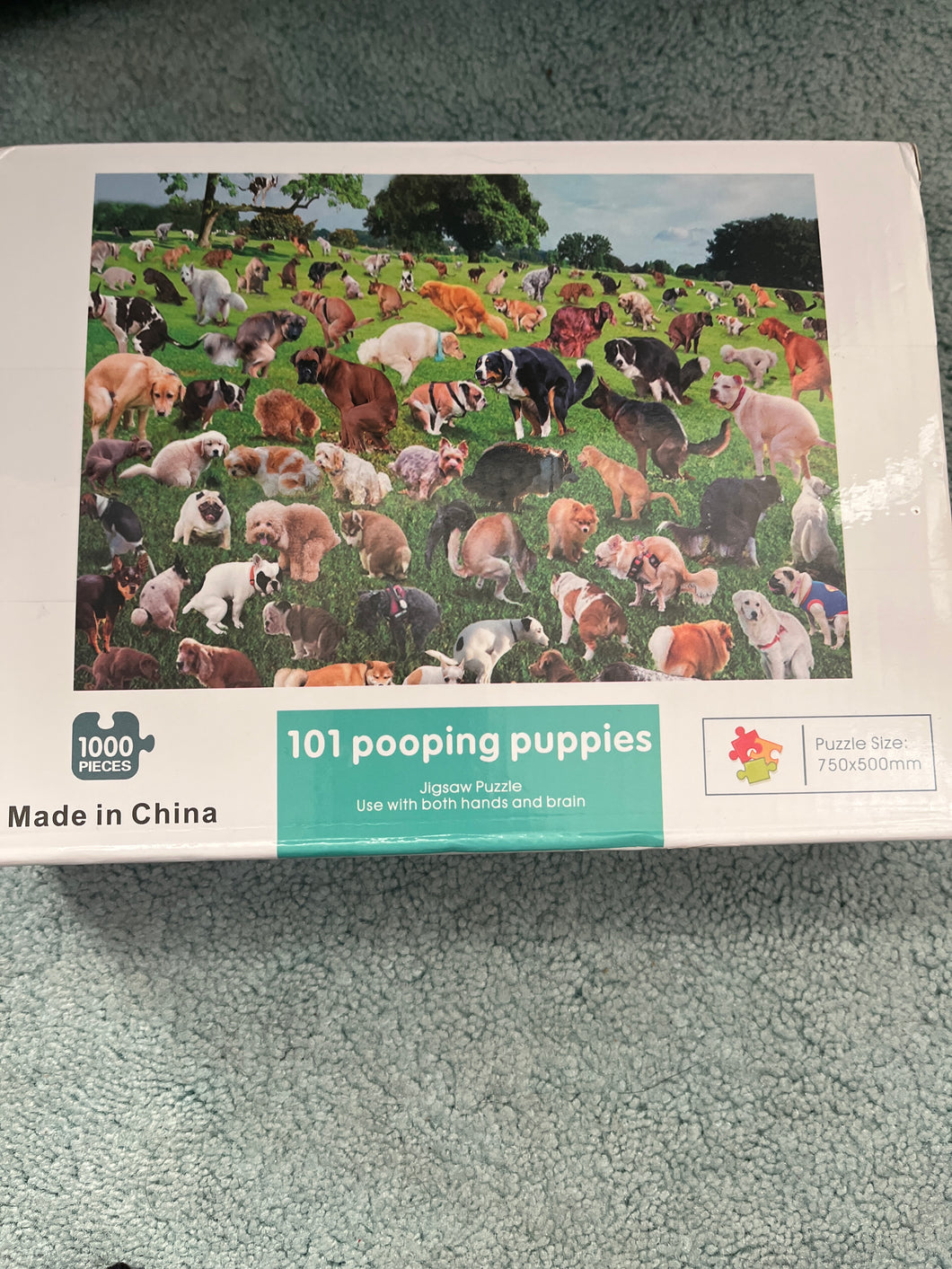 101 pooping puppies