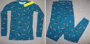 Hanna Andersson Pj Set Dinosaur Retails $49 - size 12