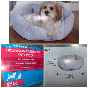 Vibrant pet bed Retails $10