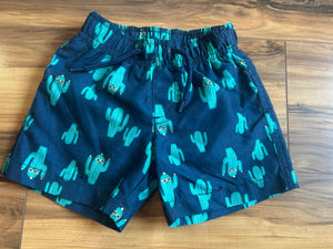 Gymboree Baby Cactus Swim Shorts - size Newborn/0