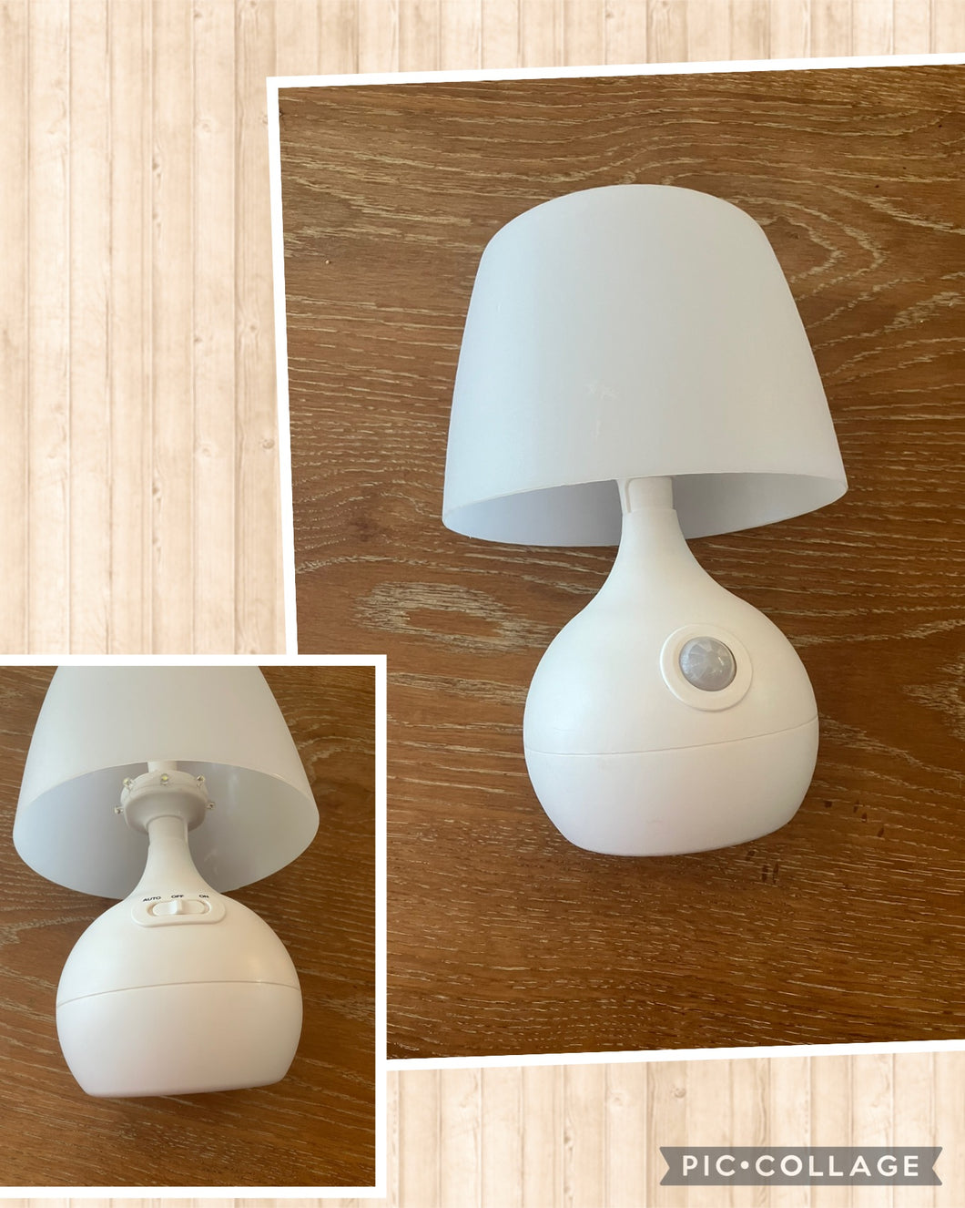 Motion censored LED Light