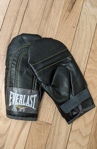Boxing Gloves Everlast