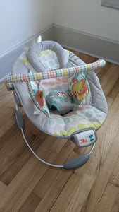 Bright Start Bouncy Seat Sings + vibrates