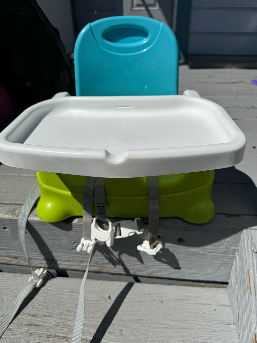 Booster Seat Green and Blue