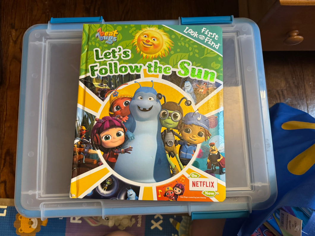 Look and Find Bugs
