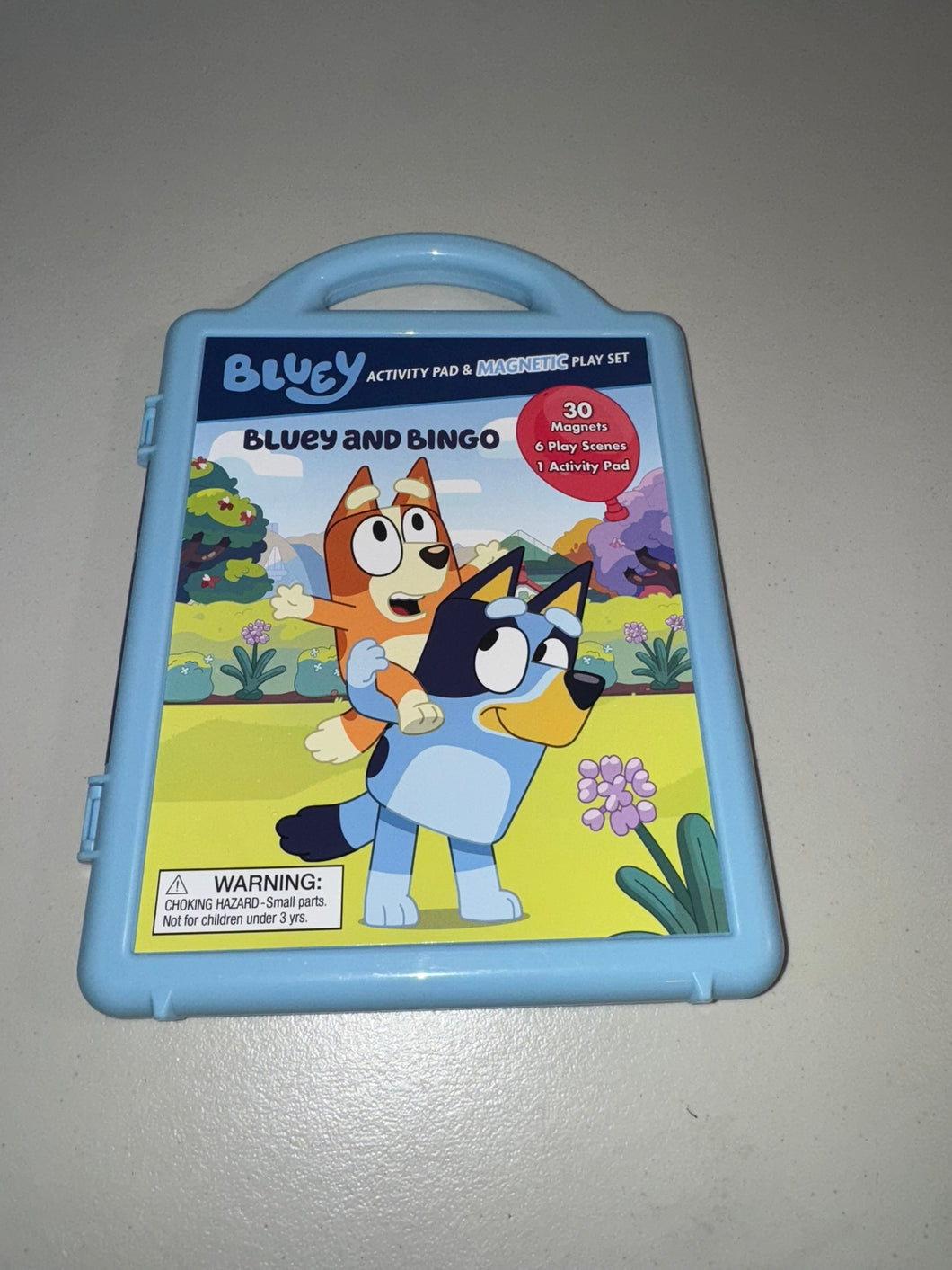 Bluey Magnets w/ scenes
