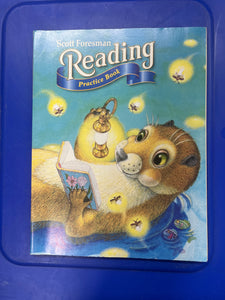 Scott Foresman Reading Practice Book