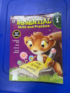 Thinking Kids Grade 1 Essential Skills/Practic
