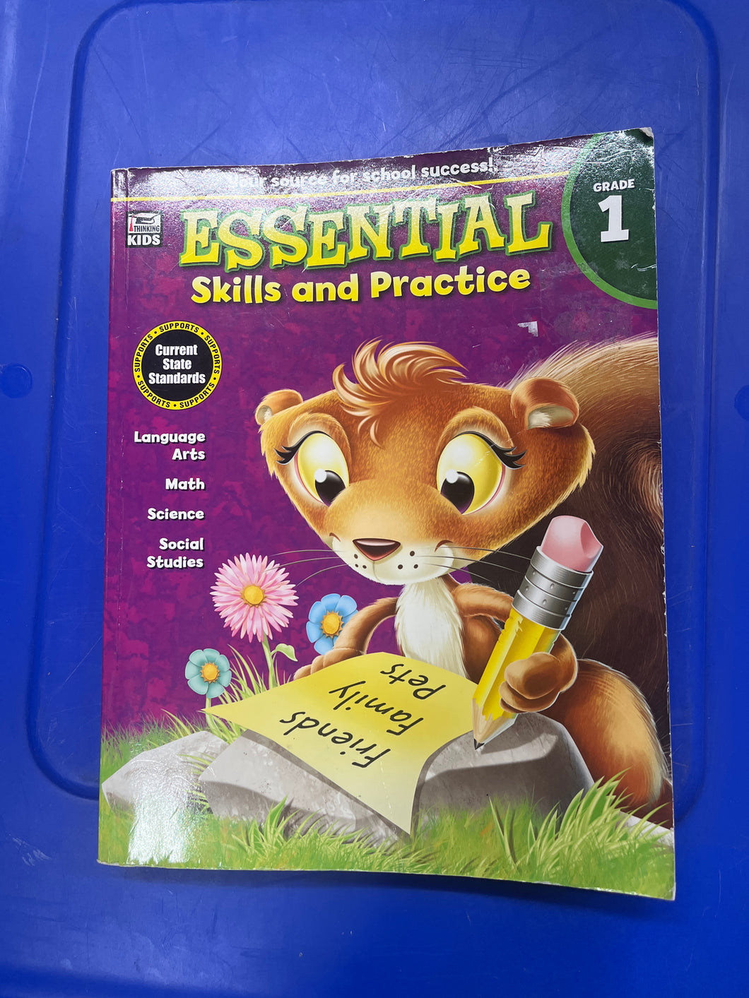 Thinking Kids Grade 1 Essential Skills/Practic