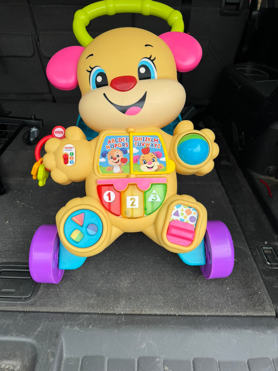 Fisher Price Dog Walker Pusher