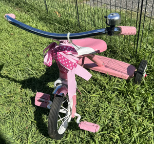 Radio Flyer Pink