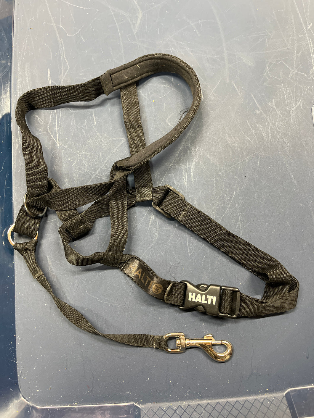 Blk Halti Dog Harness