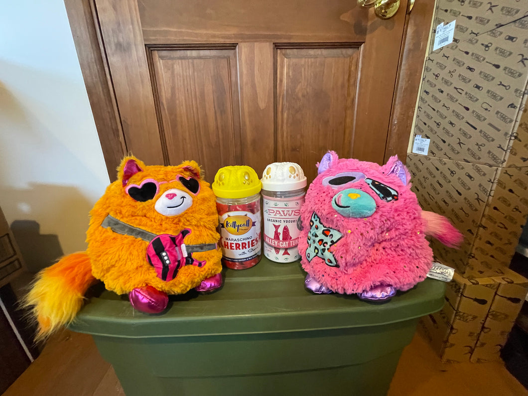 Misfittens Plush Cats Set of 2