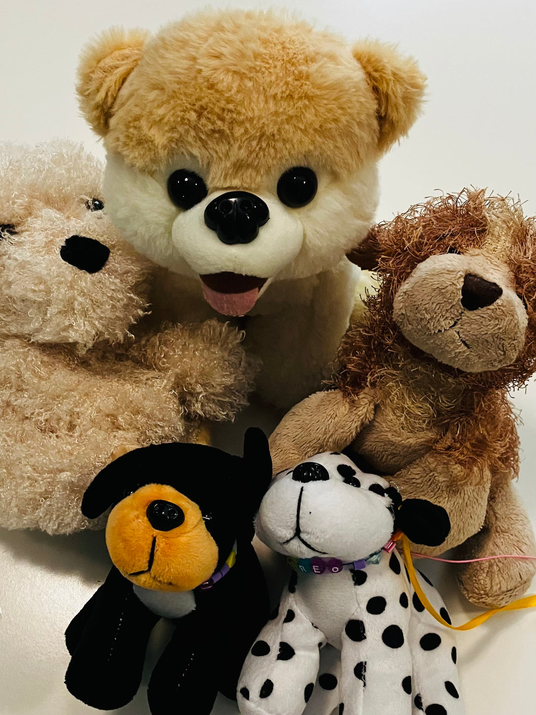 5 PUPPIES PLUSH